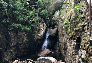 黑林山第 43 张图片