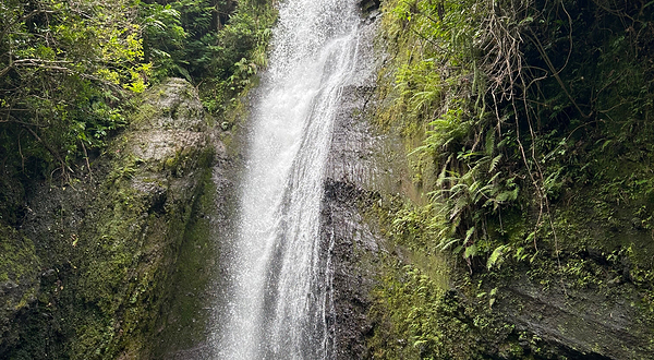 Bena Traditional Village