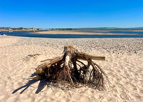 Findhorn Beach