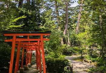 金澤神社第 3 张图片