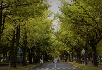 北海道大学第 49 张图片