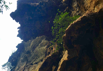 马岭河峡谷景区第 67 张图片