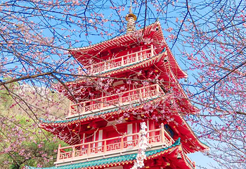 虞山公园第 16 张图片
