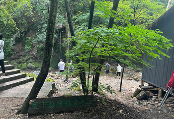 绿石谷第 27 张图片