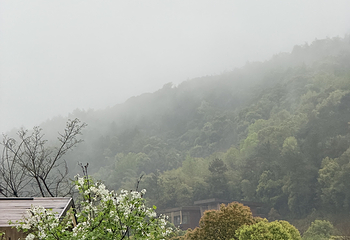 莫干山江南瑶坞旅游度假区第 83 张图片