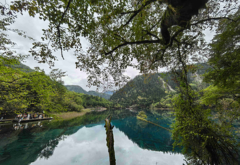 九寨沟风景区第 570 张图片