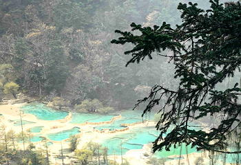 黄龙风景名胜区第 217 张图片