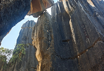 石林风景区第 264 张图片