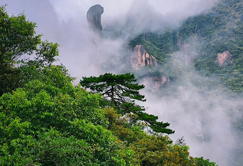 三清山风景区第 179 张图片