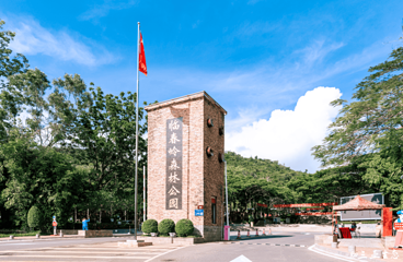 临春岭森林公园第 4 张图片