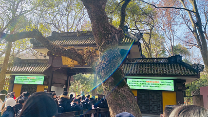 灵隐飞来峰景区第 120 张图片
