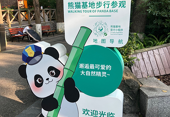 成都大熊猫繁育研究基地第 131 张图片