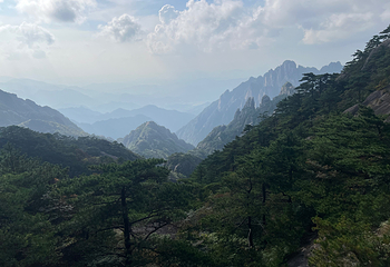 黄山风景区第 208 张图片