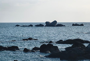 天涯海角第 240 张图片