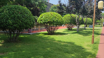 西安城墙-门球场