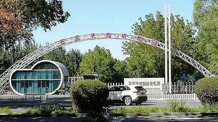 石河子市植物园第 1 张图片