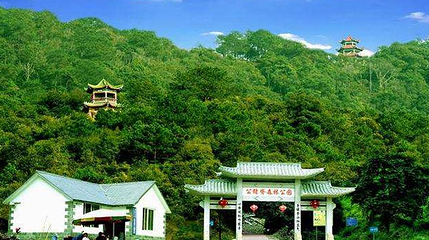 公猪脊森林公园第 1 张图片