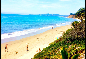 Butterfly Beach第 1 张图片