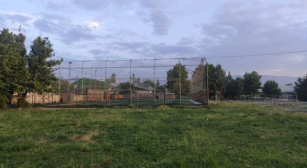 Стадион ( газон )