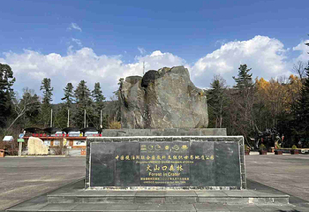 火山口国家森林公园第 10 张图片