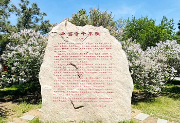 奉国寺第 49 张图片