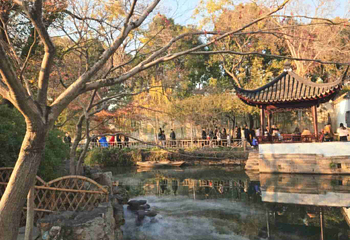 拙政园第 492 张图片