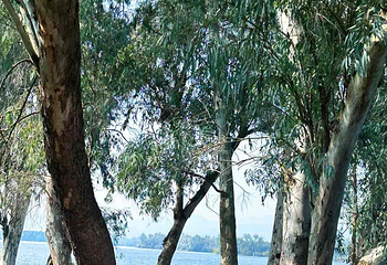 三岔湖景区第 26 张图片