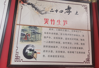 蜀南竹海第 66 张图片