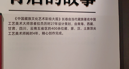 青海藏文化博物院第 158 张图片