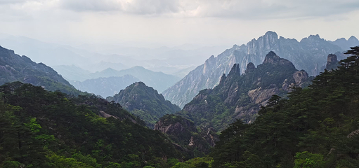 黄山风景区第 210 张图片