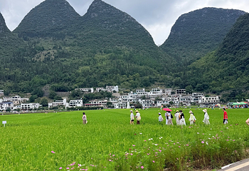 万峰林景区第 154 张图片