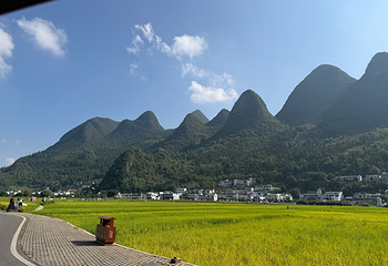 万峰林景区第 87 张图片