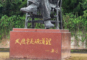 上海海湾国家森林公园第 56 张图片