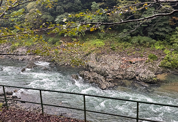 岚山嵯峨野观光小火车第 75 张图片