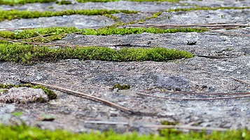 重庆市梁平区百里竹海景区-小峨眉山景区