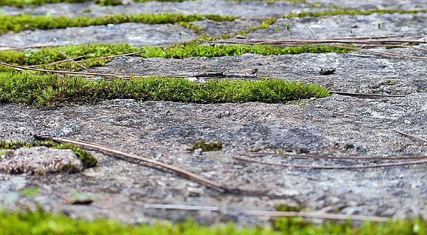 重庆市梁平区百里竹海景区-小峨眉山景区