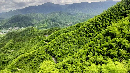 章里古道-水滴石穿第 1 张图片