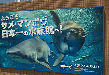 茨城县大洗水族馆第 19 张图片
