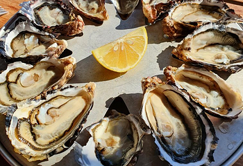 观菲欣纳海洋农场第 9 张图片