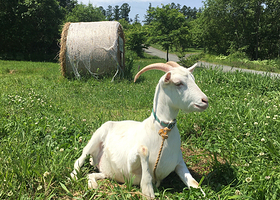 三爱之丘展望公园