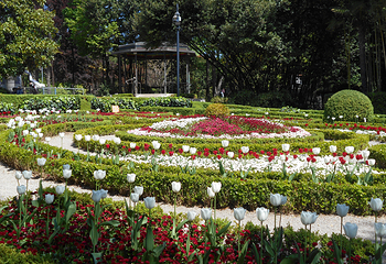 The Angiolina Park - Villa Angiolina第 15 张图片