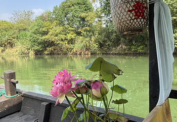 西溪国家湿地公园第 205 张图片
