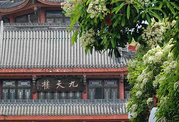 塔子山公园第 23 张图片