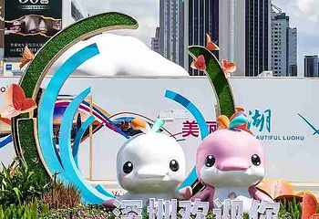 深圳罗湖口岸第 50 张图片