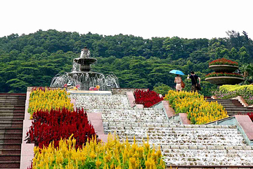 云台花园第 16 张图片
