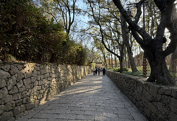 普陀山风景区第 377 张图片