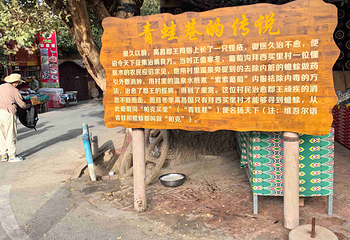 葡萄沟第 66 张图片