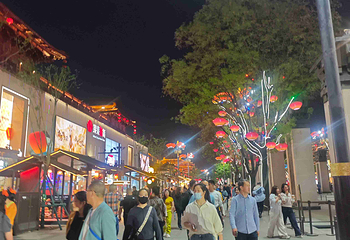 大唐不夜城第 282 张图片