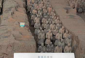 秦始皇帝陵博物院(兵马俑)第 444 张图片