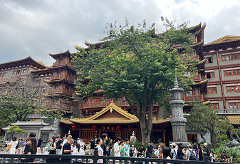 北京路步行街第 16 张图片